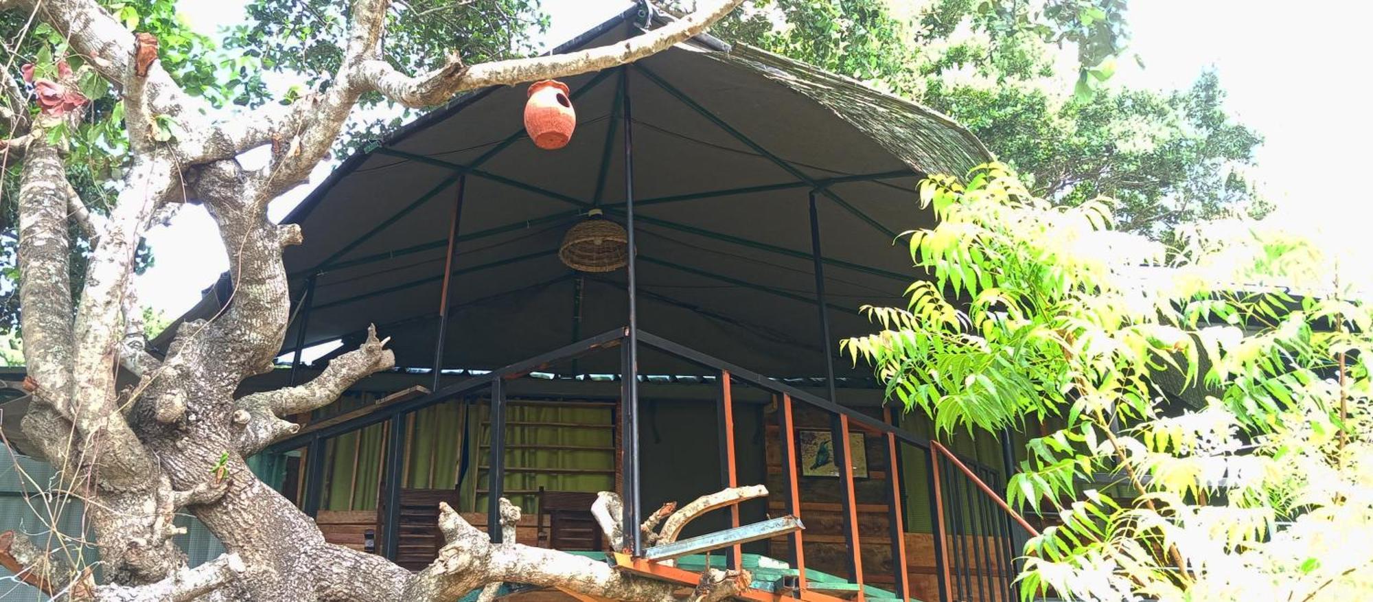 Jungle Cabin - Bundala Bundala Levagamgoda Exterior photo